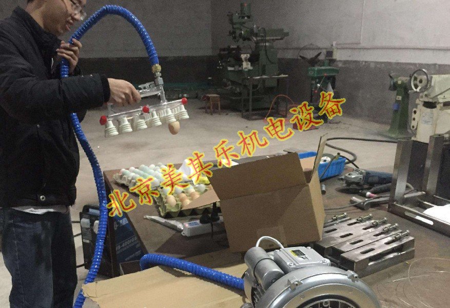 漩渦氣泵應用于雞蛋真空吸附器(視頻)